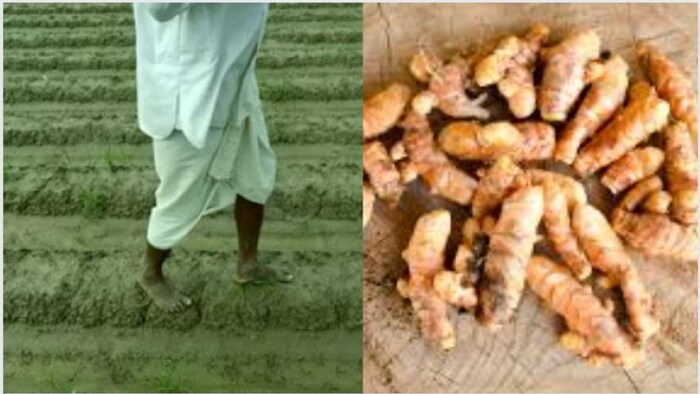 पूरा हुआ तेलंगाना के किसान का संकल्प सांकेतिक तस्वीर