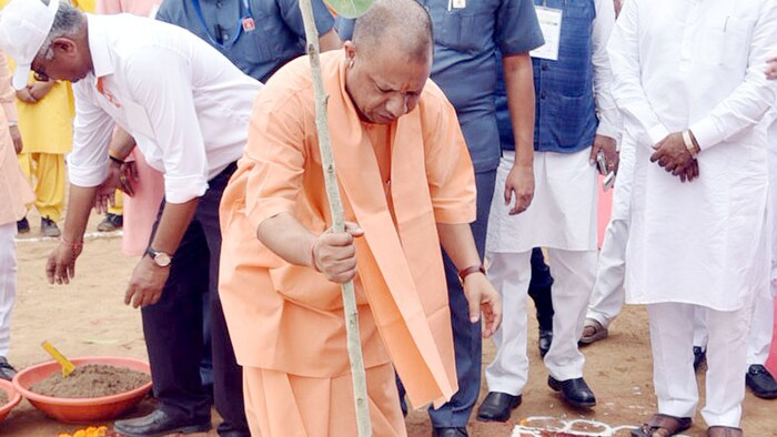 UP: योगी सरकार ने 36.15 करोड़ पौधरोपण कर रचा इतिहास (फाइल फोटो)