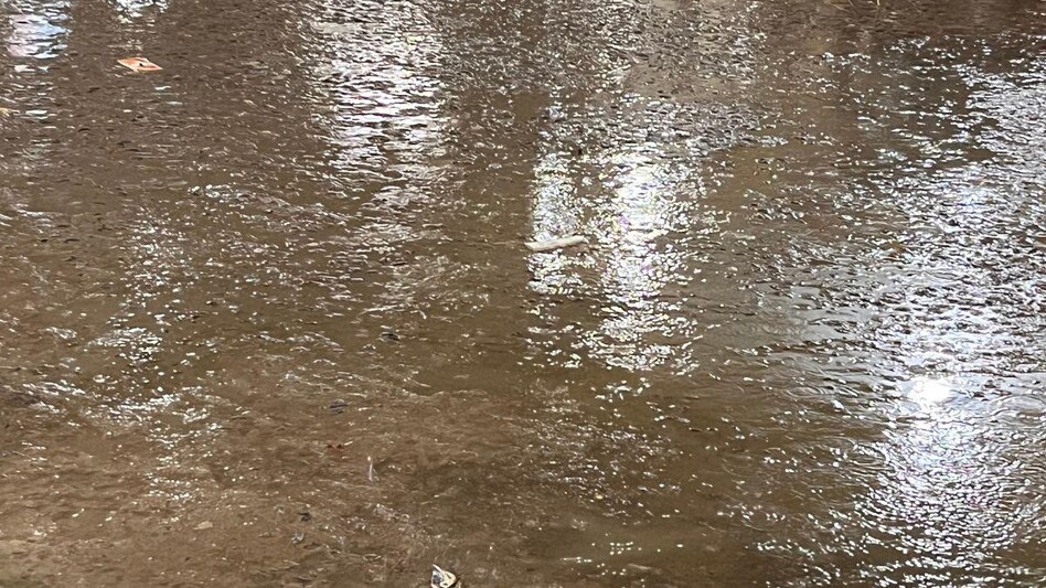 Bihar Weather News: हथिया नक्षत्र की बारिश धान की फसल को दे रही जीवनदान, किसानों के खिले चेहरे Bihar Weather News: हथिया नक्षत्र की बारिश धान की फसल को दे रही जीवनदान, किसानों के खिले चेहरे