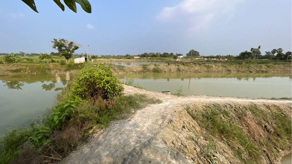 Bihar News: किसानों ने पहले खेती छोड़ी और अब मछली पालन से तोड़ रहे नाता, जानें वजह Bihar News: किसानों ने पहले खेती छोड़ी और अब मछली पालन से तोड़ रहे नाता, जानें वजह
