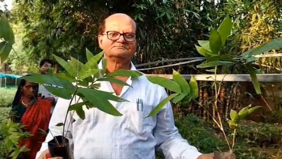 Success Story: बिहार के इस लैब में तैयार हो रहा सबसे अधिक मीठे बांस का पौधा, ऐसे बढ़ेगी किसानों की कमाई Success Story: बिहार के इस लैब में तैयार हो रहा सबसे अधिक मीठे बांस का पौधा, ऐसे बढ़ेगी किसानों की कमाई