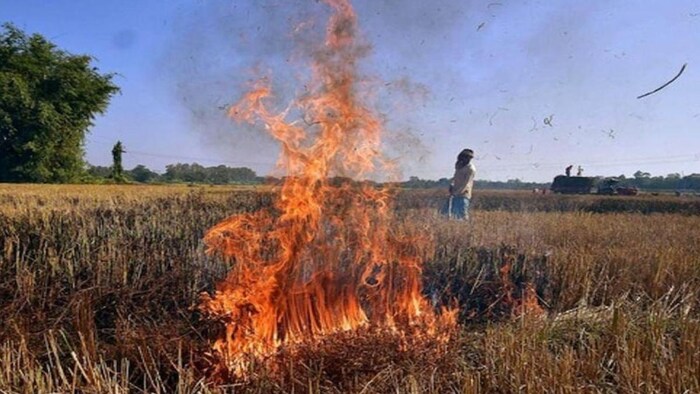 बिहार के किसान अगर खेत में पराली जलाते है. राज्य सरकार धान की खरीदारी नहीं करेगी. फोटो-किसान तक