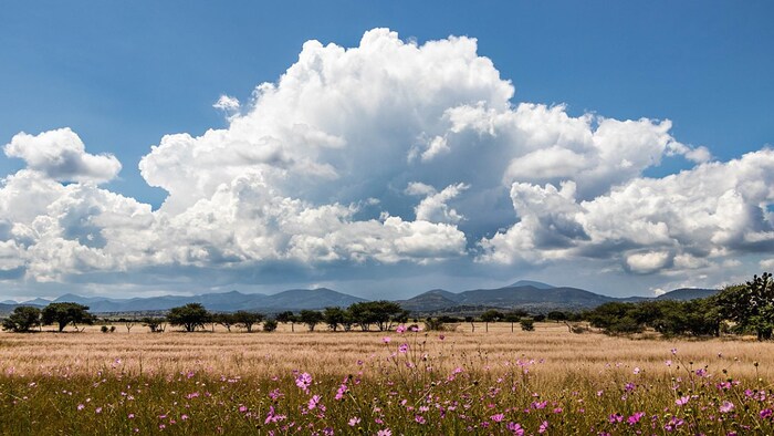 यूपी में मौसम ने बदला रुख, बारिश न होने से बढ़ सकती है गर्मी
