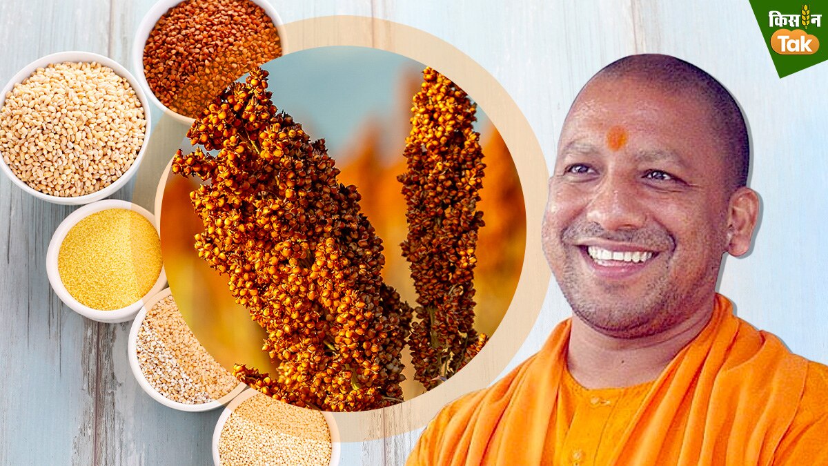 UP News: योगी सरकार ने मिलेट्स पर काम करने वाले प्रगतिशील किसानों को सौंपी बड़ी जिम्मेदारी, पढ़िए प्लान