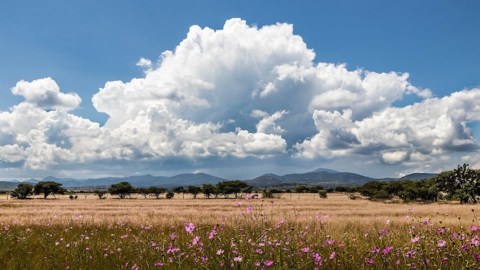यूपी में तेज धूप का सिलसिला जारी