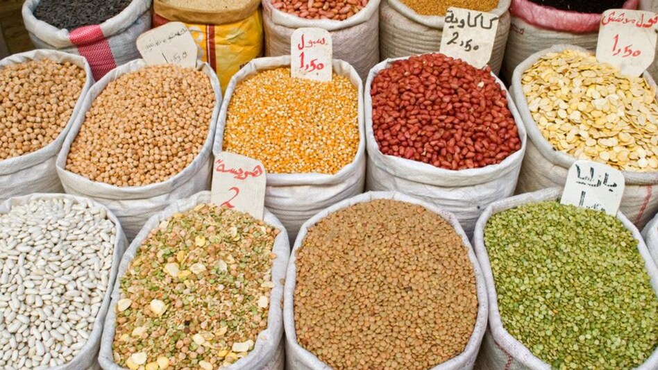 Paddy Crops: मोटे अनाज की खेती पर हुआ मंथन, कृषि वैज्ञानिक बोले- पाठ्यक्रम में हों शामिल, बताए फायदे Paddy Crops: मोटे अनाज की खेती पर हुआ मंथन, कृषि वैज्ञानिक बोले- पाठ्यक्रम में हों शामिल, बताए फायदे