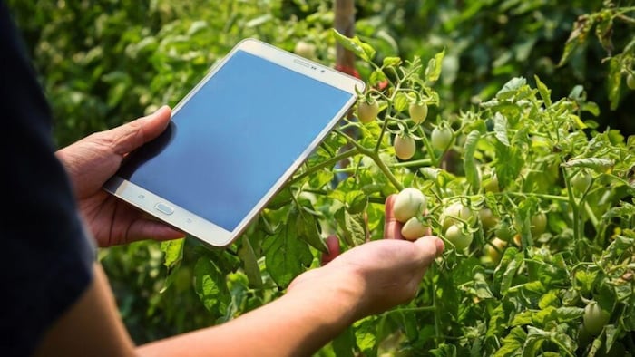 प्रदेश में पैदा की जा रही फसलों का पूरा डेटा तैयार करा रही योगी सरकार