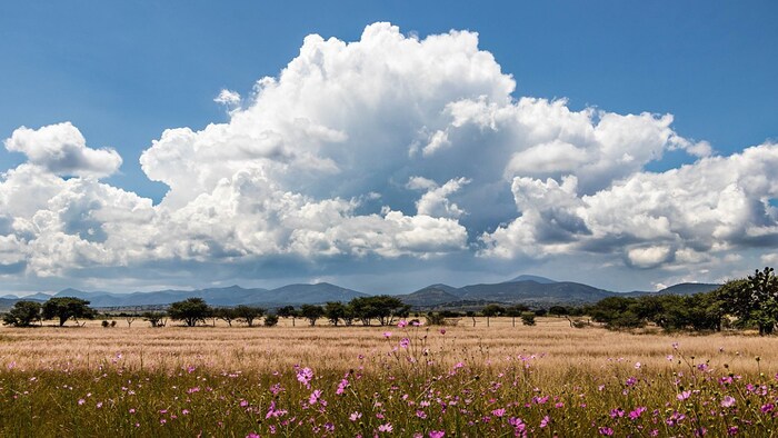 UP Weather: यूपी में अगले 6 दिन में बारिश की संभावना सबसे कम