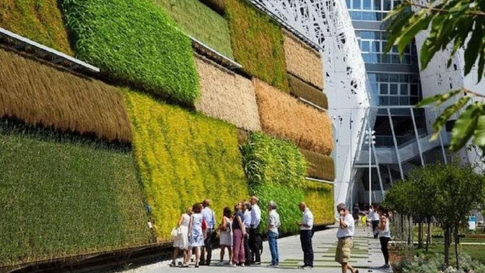 इजरायल में खेती कैसे की जाती है? क्यों दुनिया भर में मशहूर है, (सांकेतिक तस्वीर)