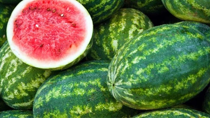 जानिए तरबूज की अच्छी किस्मों के बारे में
