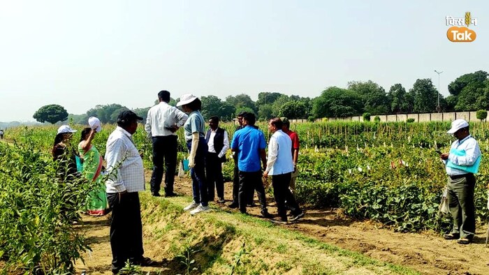 जीन बैंक में संरक्षित बीजों से दिल्ली में तैयार फसल के गुणों को देखते वैज्ञानिक (Photo-Kisan Tak).