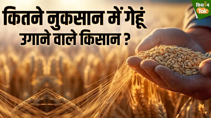 ओपन मार्केट सेल स्कीम से किसे मिला फायदा?