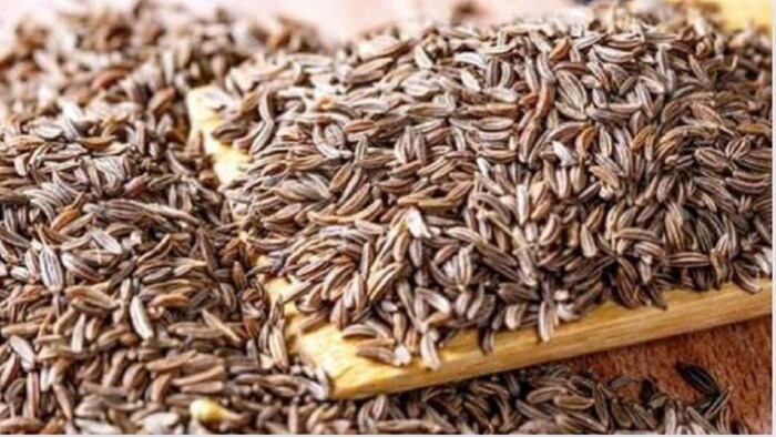 जीरा किसानों को मिल रहे अच्छे दाम फाइल फोटो