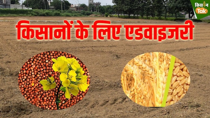 पूसा ने किसानों के लिए जारी की एडवाइजरी (Photo-Kisan Tak).
