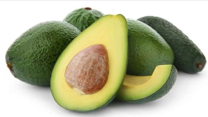 जानिए एवोकैडो की खेती के बारे में