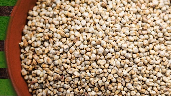 हरियाणा में धान की कितनी हुई खरीद (Photo-Kisan Tak).