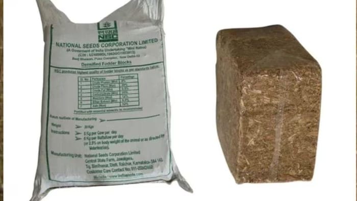 राष्ट्रीय बीज निगम ने पशुपालकों के लिए एक नए तरीके का चारा लेकर आया है