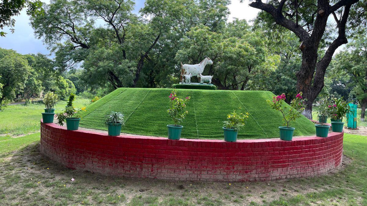 सीआईआरजी में लगा बरबरी बकरी का स्टेच्यू. फोटो क्रेडिट-किसान तक
