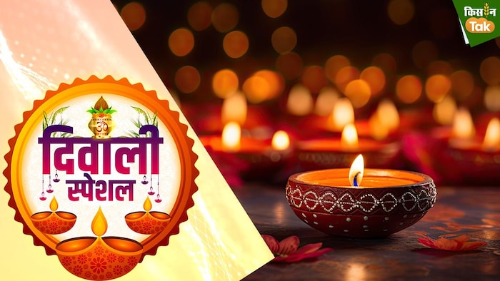 इन बधाई संदेशों के साथ रोशन करें सबकी दिवाली