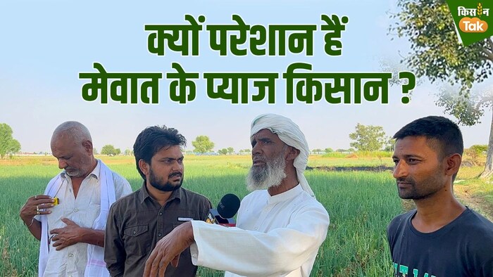 क्यों परेशान हैं मेवात के प्याज किसान?