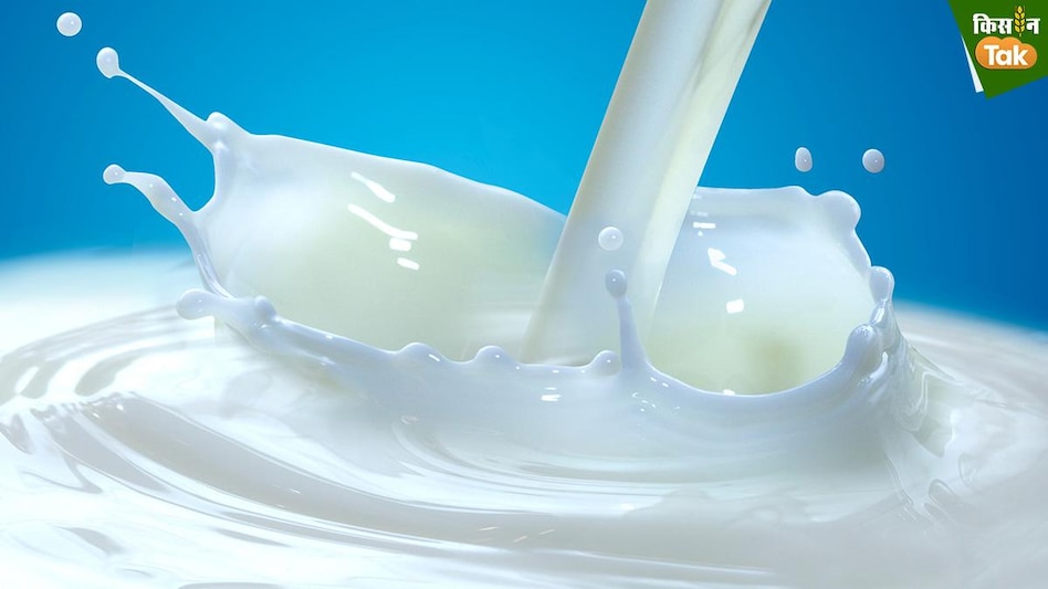 Organic Milk: ऐसे चेक करें बाजार में मिल रहा दूध ऑर्गेनिक है या नहीं, जानें डिटेल Organic Milk: ऐसे चेक करें बाजार में मिल रहा दूध ऑर्गेनिक है या नहीं, जानें डिटेल