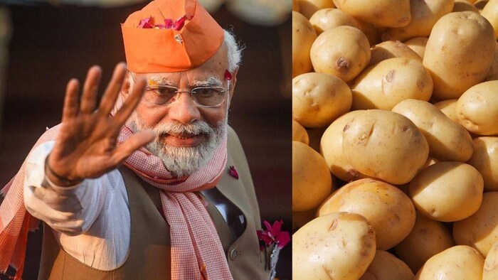 पीएम मोदी की मध्य प्रदेश में चुनावी जनसभा.