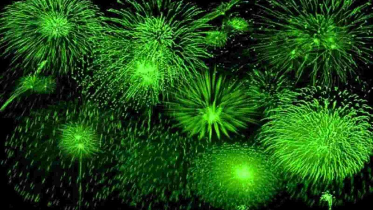 Green Crackers: दीपावली पर जलाएं ये पटाखे, नहीं पहुंचाते हैं पर्यावरण को नुकसान