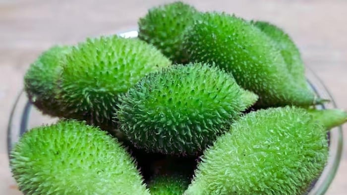 कंटोला खाने के फायदे