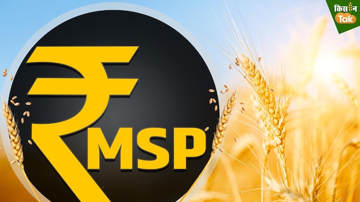 एमएसपी पर बोनस देने का क्या होगा साइड इफेक्ट (Photo-Kisan Tak).
