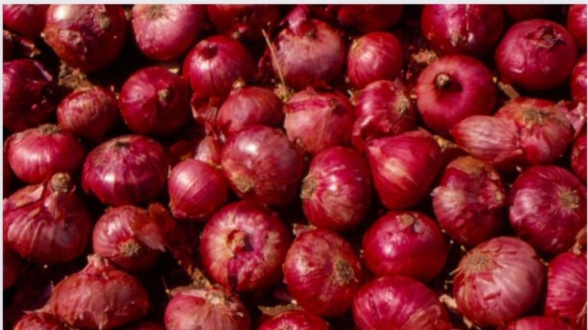 Onion Price: सरकार के सामने प्याज के दाम नियंत्रित करने की चुनौती, केंद्रीय टीम महाराष्ट्र-कर्नाटक का दौरा करेगी