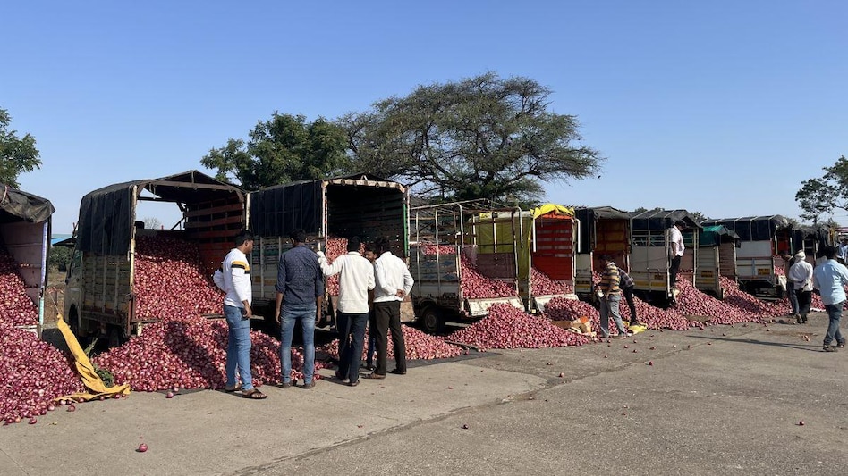 Onion Price: दस दिन की लगातार बंदी के बाद खुल गईं नासिक की मंडियां, जानिए कितना है प्याज का दाम?  Onion Price: दस दिन की लगातार बंदी के बाद खुल गईं नासिक की मंडियां, जानिए कितना है प्याज का दाम?