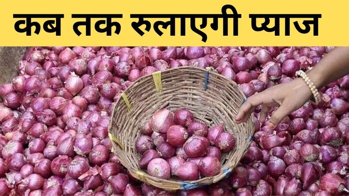 एमईपी लागू होने के बाद थोक कीमतों में 5% से 6% की गिरावट आई है.