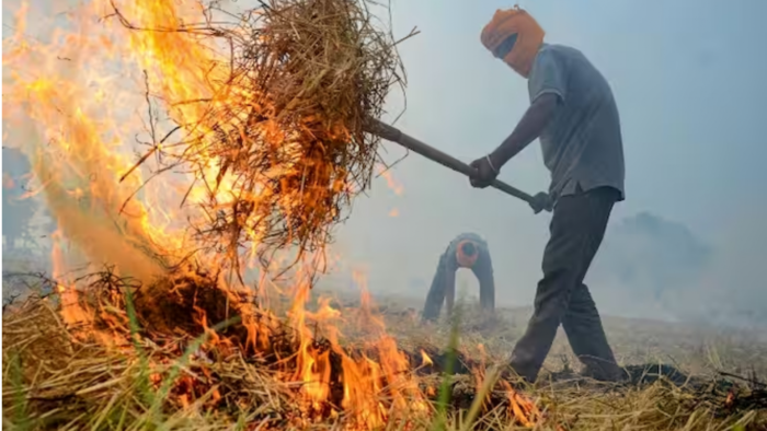 पराली जलाना किसानों को पड़ा भारी