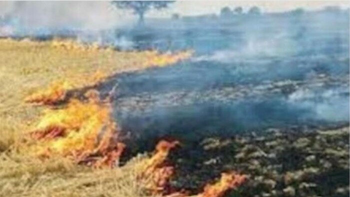 पराली जलाने से रोकने के लिए लिखे जा रहे स्लोगन सांकेतिक तस्वीर