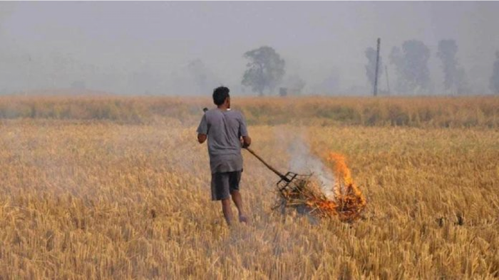 पराली की घटना