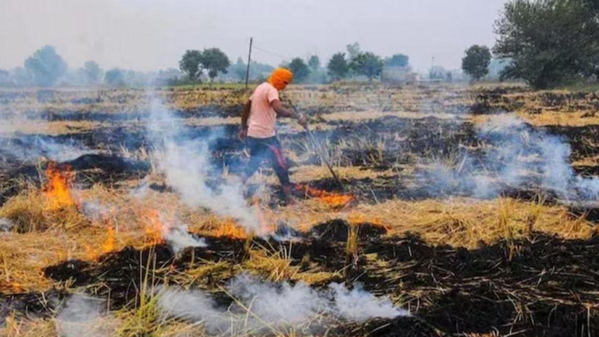 क्या असरदार नहीं है पूसा का बायो-डीकंपोजर