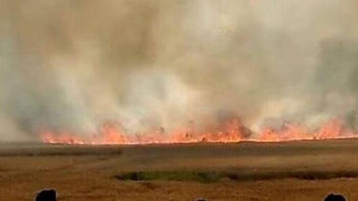 पराली जलाने वालों से 3 लाख रुपये वसूला गया जुर्माना