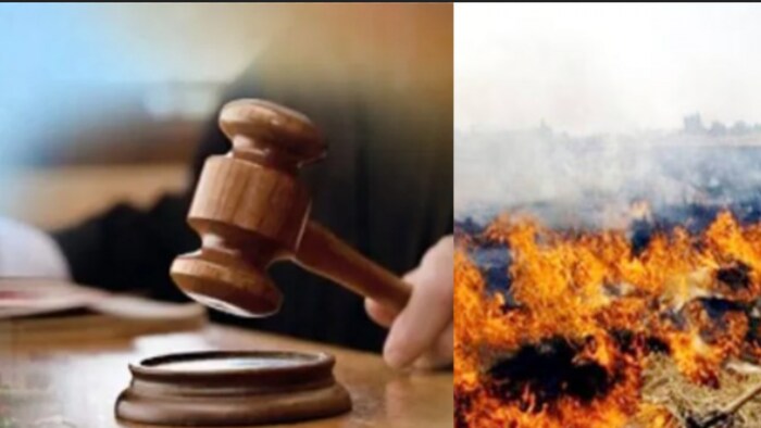 पराली जलाने के मामले में किसान नहीं हैं जिम्मेदार! - फोटो किसान तक