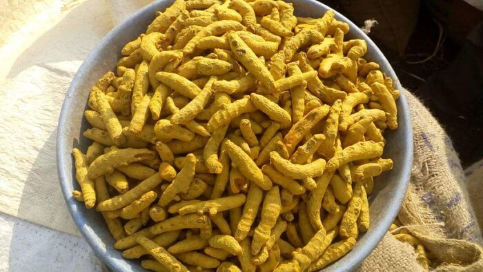 हल्दी की कीमतों में हुई बढ़ोतरी