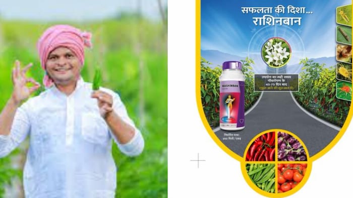 मिर्च को कीट से बचाने वाली दवा तैयार