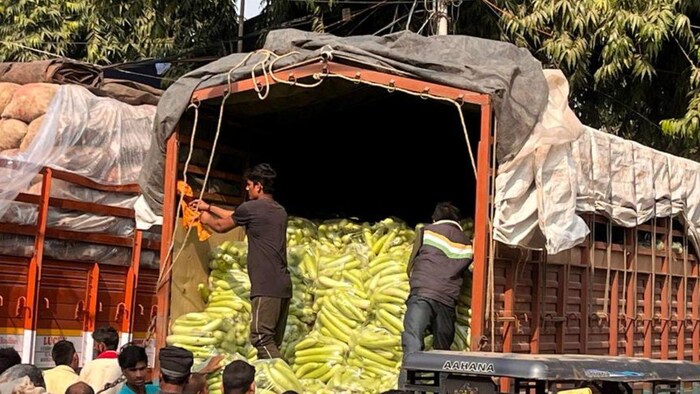 छठ पर्व में छतीसगढ़ के खेतों से बिहार के मंडी पहुंच रही लौकी. फोटो-किसान तक