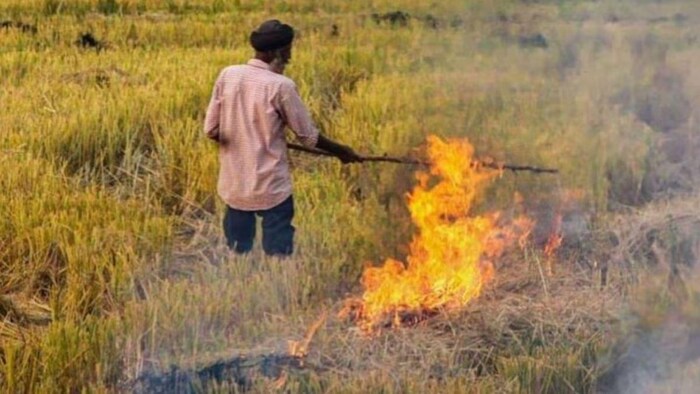 पराली जलाने के मामले में आएगी गिरावट. (सांकेतिक फोटो)