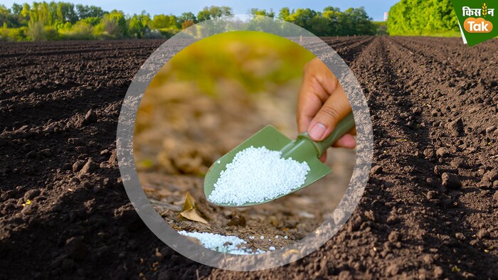 खेत में डाली गई यूरिया से ग्रीन हाउस गैस, नाइट्रस ऑक्साइड से जैसी खतरनाक गैस निकल रहीं हैं.