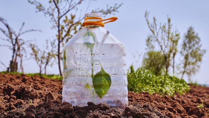 Waste plastic bottle use