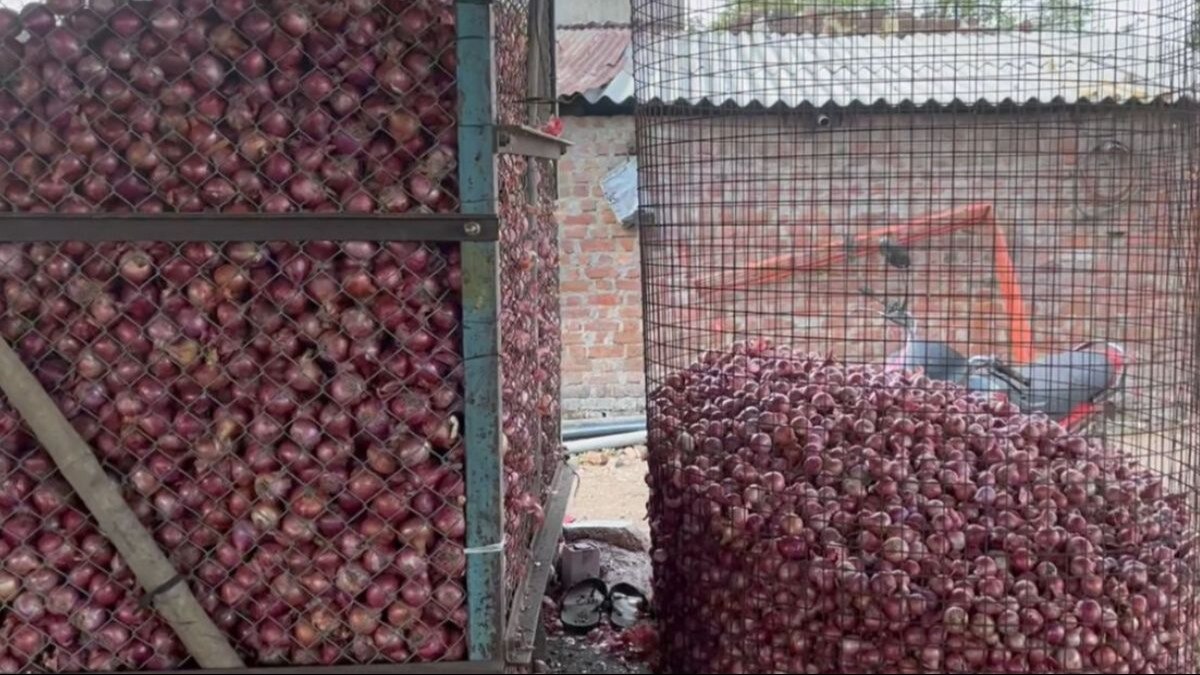 नई तकनीक से अब ज्यादा दिन तक प्याज स्टोर कर पाएंगे किसान, महाराष्ट्र सरकार ने बताया प्लान