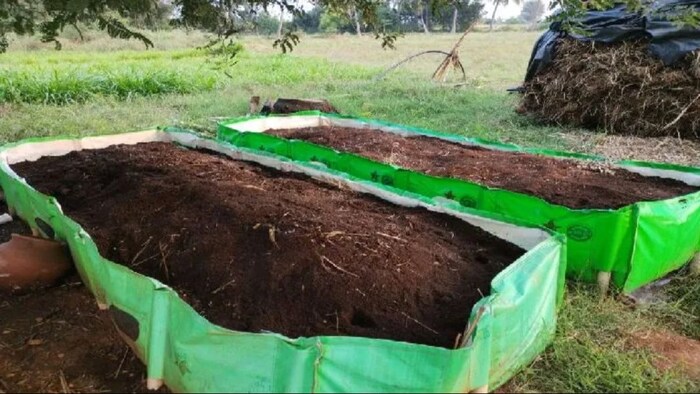 किस चीज से कंपोस्ट बनाएं और किससे नहीं