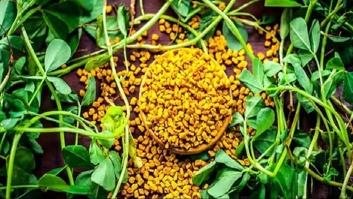 127 रुपये में खरीदें मेथी का आधा किलो बीज