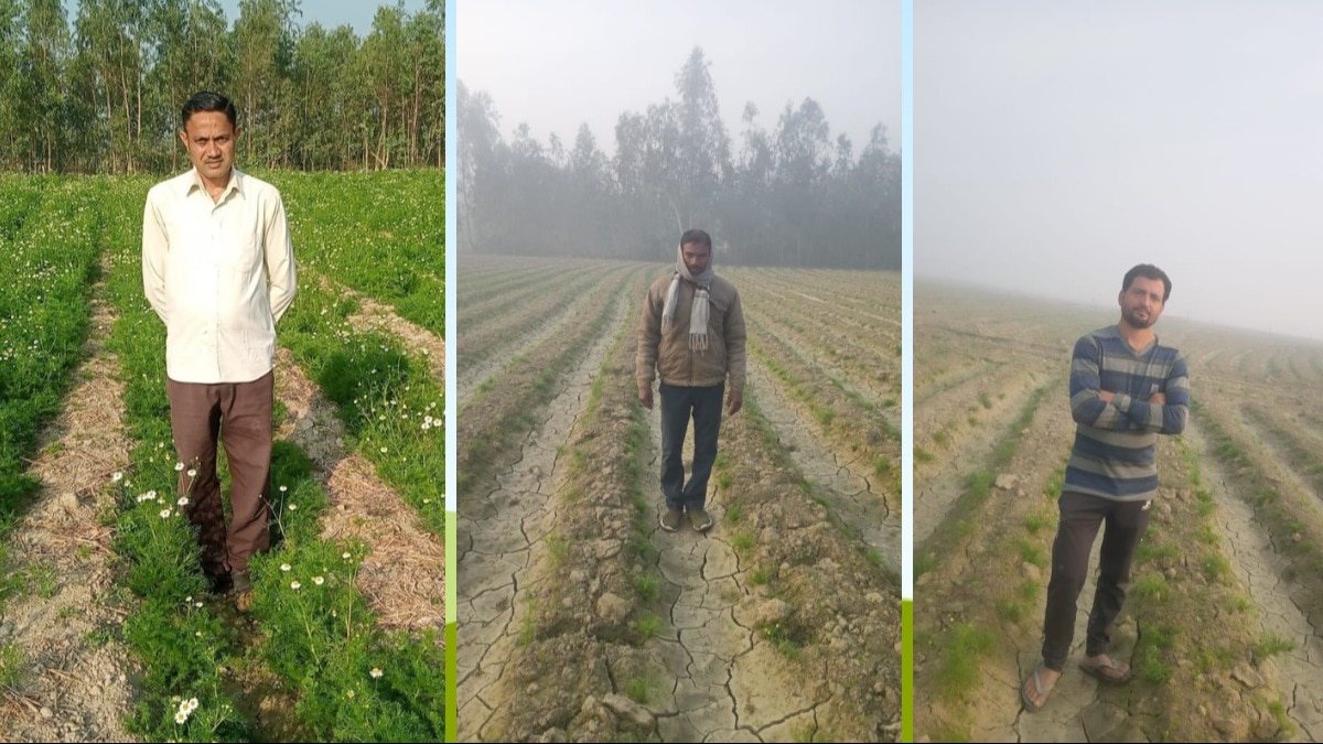 कैमोमाइल ग्रीन टी की खेती करने वाले सीतापुर के सफल किसान (Photo-Kisan Tak)