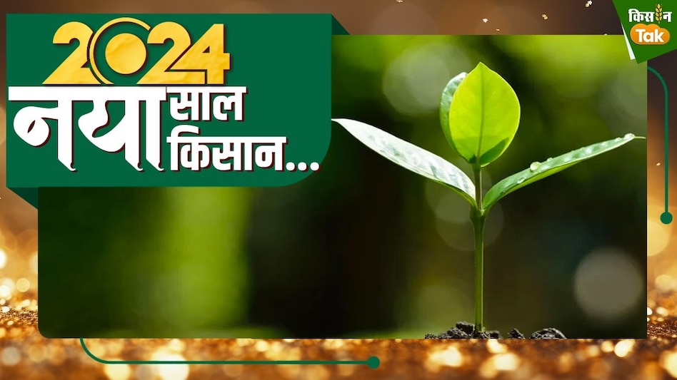 Organic farming: सेहत के लिए वरदान लेकिन किसानों को नहीं मिलता सही दाम, जानिए क्या कहते हैं ऑर्गेनिक खेती के आंकड़े? Organic farming: सेहत के लिए वरदान लेकिन किसानों को नहीं मिलता सही दाम, जानिए क्या कहते हैं ऑर्गेनिक खेती के आंकड़े?