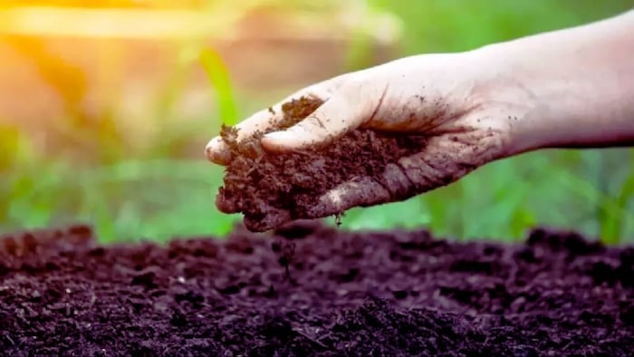 मिट्टी का स्वास्थ्य सुधार रहीं 8272 लैब के लिए 229 करोड़ रुपये जारी